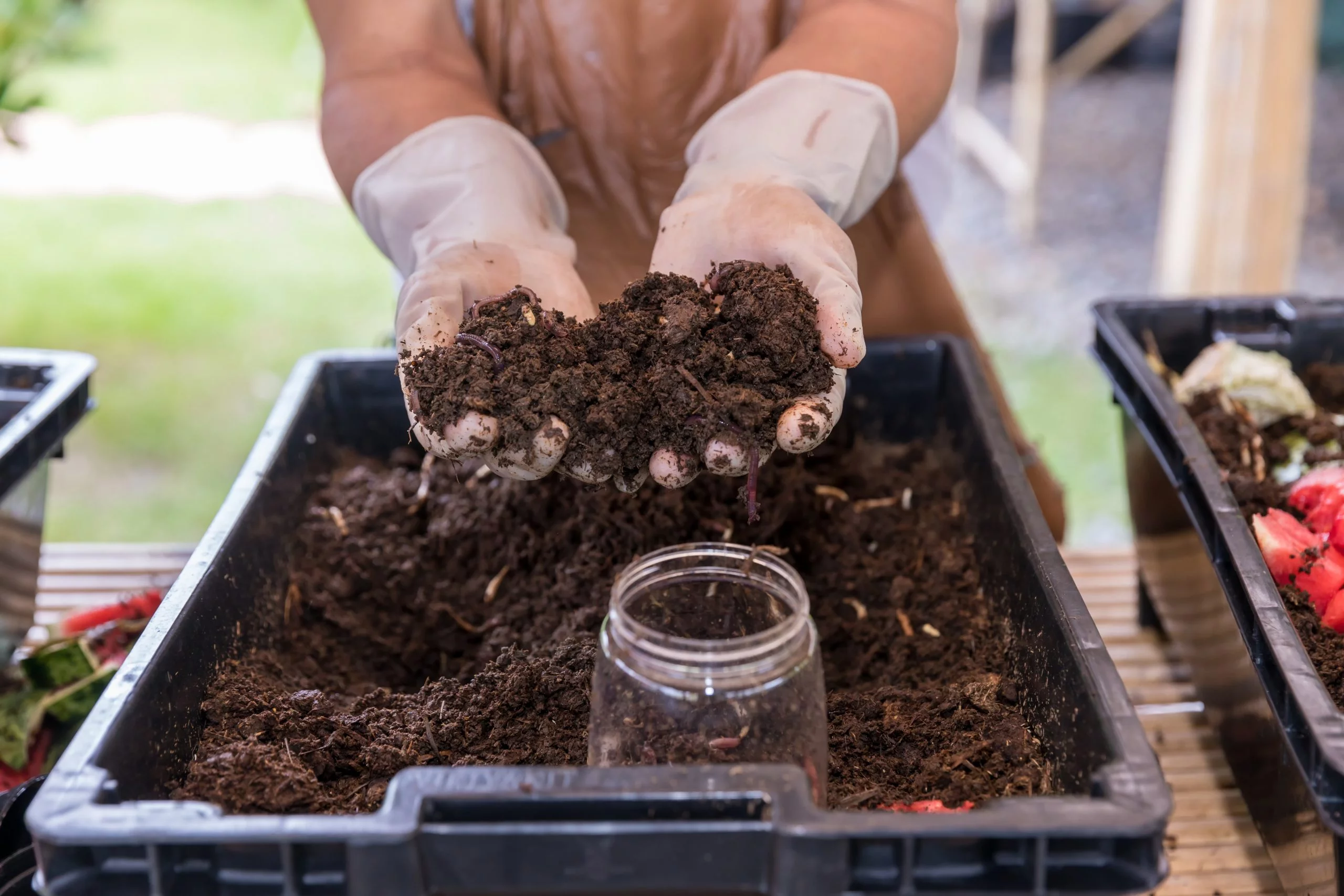 earthworms-on-hand-for-organic-fertilizer-farming-2022-11-16-14-03-03-utc-scaled earthworms-on-hand-for-organic-fertilizer-farming-2022-11-16-14-03-03-utc-scaled